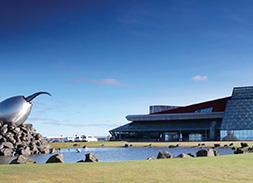 冰島凱夫拉維克機場案例分享